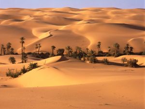 Desert-Oasis-Libya